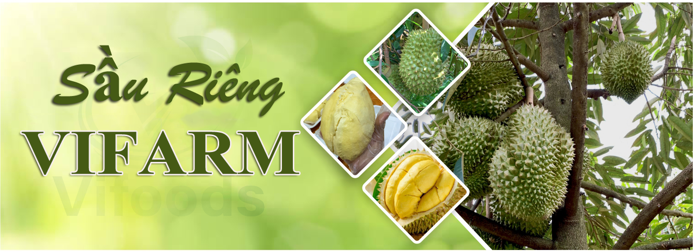 Sầu Riêng G6 Vifarm