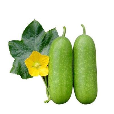 Bí đao xuất khẩu
