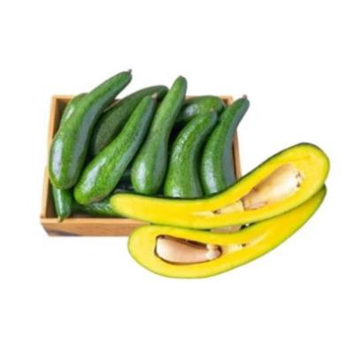 Bơ sáp 034 đầu dòng Đăk Lăk