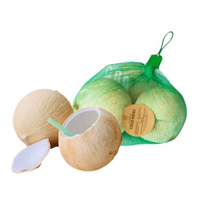 Combo dừa xiêm size S Coco Meko