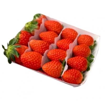 Dâu Nhật Family (250G)