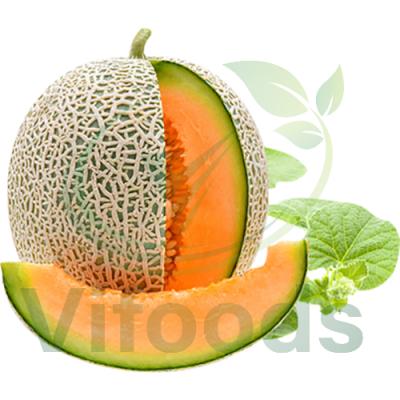 Dưa Lưới Giống Nhật Vifarm (trái từ 2kg)