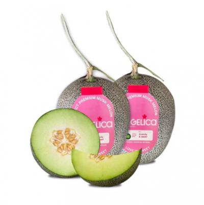 Dưa lưới ruột xanh Angelica chuẩn an toàn quốc tế loại 2 (2 - 2.3Kg/Trái)
