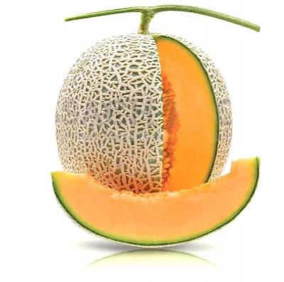 Dưa lưới TL3 (1.2 - 1.6Kg/Trái)