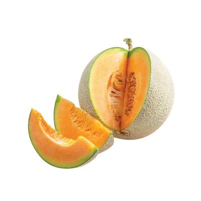 Dưa lưới tròn ruột cam