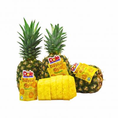 Dứa MD2 Gia Lai