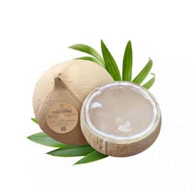 Dừa xiêm xanh Coco MeKo