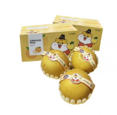 Lê Hàn Quốc size M