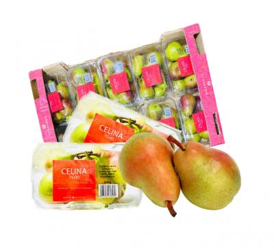 Lê Nam Phi 800Gr/Hộp