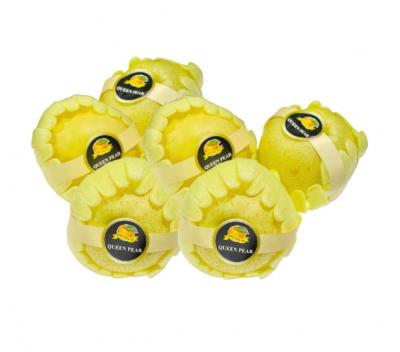 Lê sữa nội địa Trung