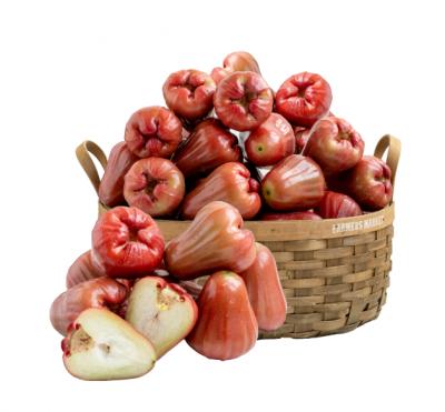 Mận Đỏ An Phước (1Kg)