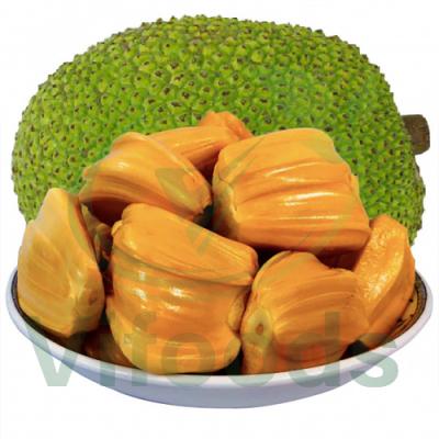 Mít Nghệ Vifarm