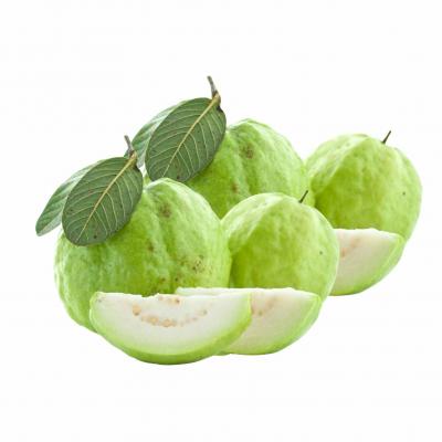 Ổi Đài Loan