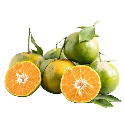 Quýt đường Hiếu Liêm (1Kg)