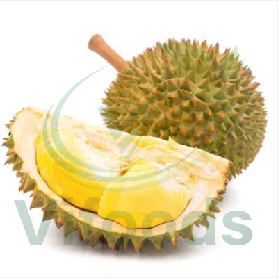 Sầu riêng chuồng bò Vifarm