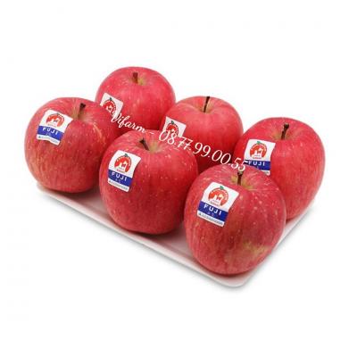Sỉ Táo Fuji Nhập Khẩu Nhật Bản 