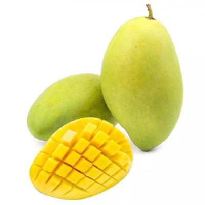 Xoài cát Hòa Lộc