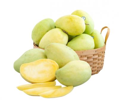 Xoài Tứ Quý loại 1